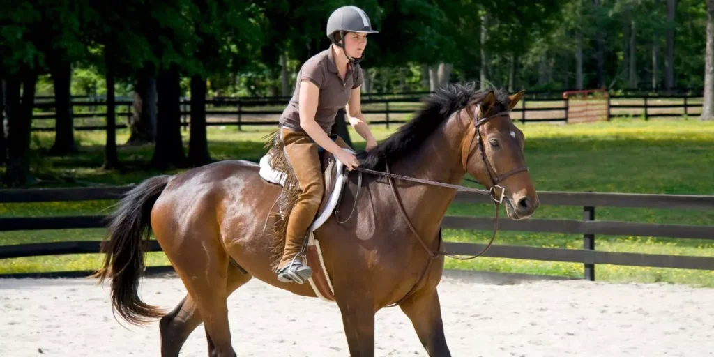 Why Are Safety Helmets Essential for Horseback Riding? Why Are Safety Helmets Essential for Horseback Riding?