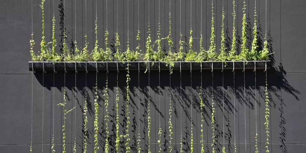 Transforming Your Home With Indoor Vertical Gardens Transforming Your Home With Indoor Vertical Gardens