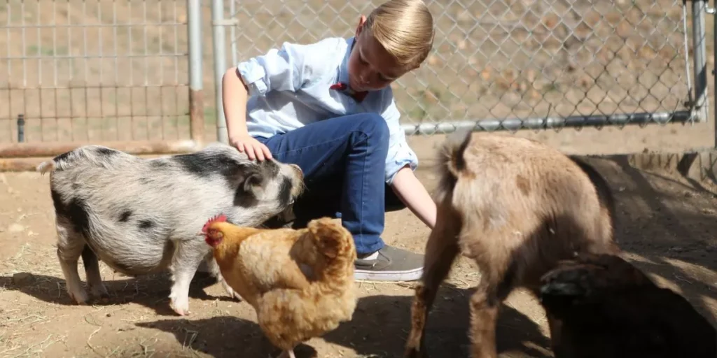 How Can You Keep Your Small Animal’s Habitat Odor-Free? How Can You Keep Your Small Animal’s Habitat Odor-Free?