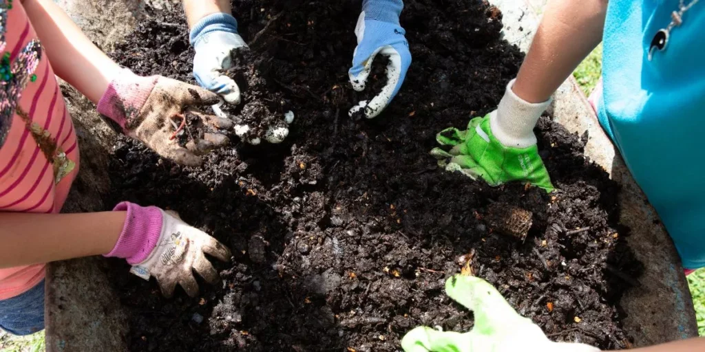 The Role of Composting in Organic Gardening The Role of Composting in Organic Gardening