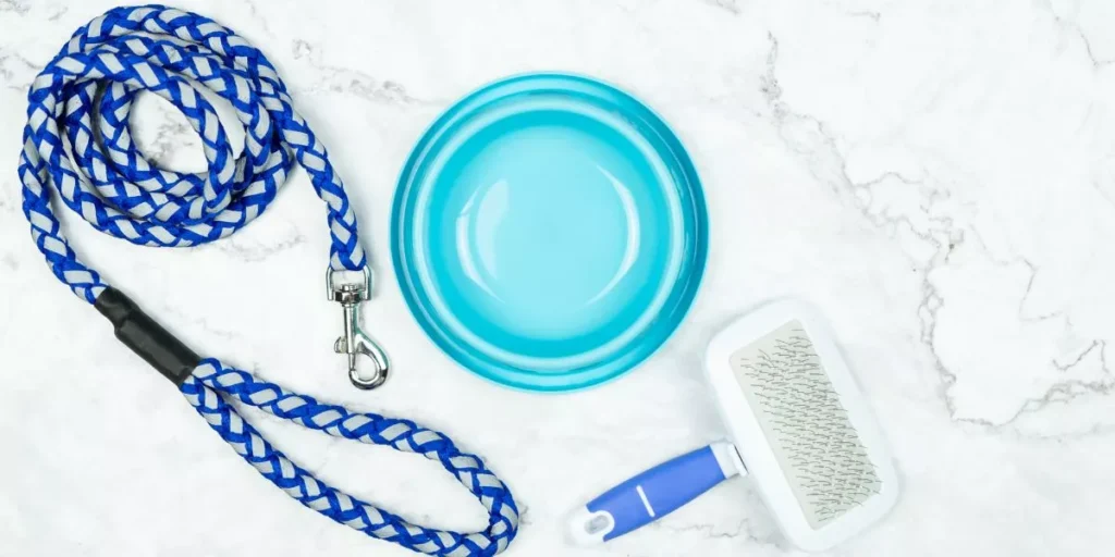 What Are the Best Smart Pet Systems for Multi-Pet Households? What Are the Best Smart Pet Systems for Multi-Pet Households?