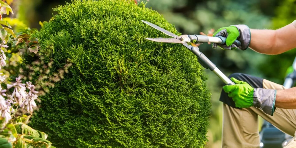 How Do You Safely Dispose of Sharp Gardening Tools? How Do You Safely Dispose of Sharp Gardening Tools?